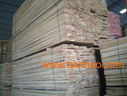 專業烘干2.8米樺木寬板與3米柞木大板 生產、特性與應用價格解析